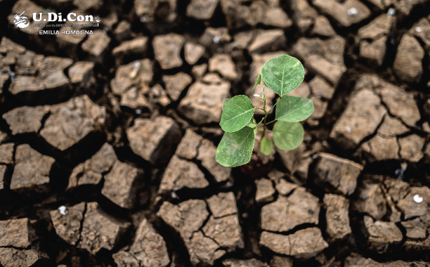 17 giugno: Giornata mondiale contro la desertificazione e la siccità
